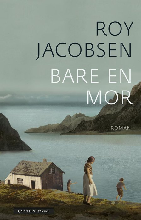 Bokomslaget til Bare en mor av Roy Jacobsen