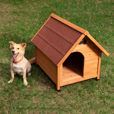 Spike Classic hundehus utendørs